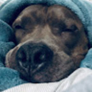 Meet your Posher, Lyl